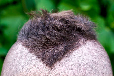 hairstyle comb on the head of a young guy. High quality photoの写真素材