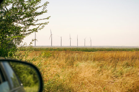 wind farm in the steppe in the foreground - a road and a tree view from the car window. High quality...