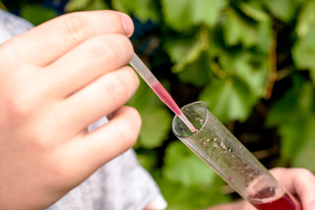 the winemaker measures the sugar content in grape juice dials the juice from a test tube with a...