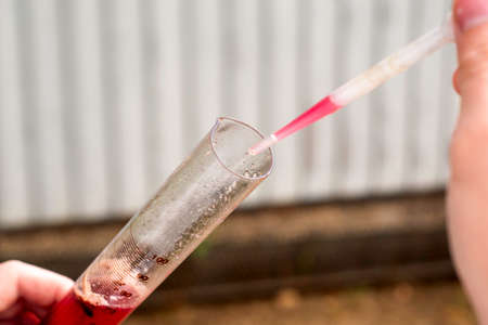 the winemaker measures the sugar content in grape juice dials the juice from a test tube with a pipette. High quality photoの写真素材