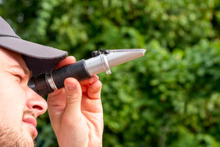 the winemaker looks at the refractometer to determine the sugar content of grape juice. High quality photoの写真素材