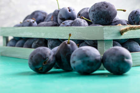 freshly picked ripe plums in a vintage box several plums are lying next to each other on the table. High quality photoの写真素材