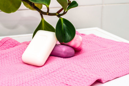 pieces of soap on a towel in the bathroom next to a houseplant. High quality photo