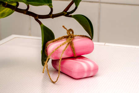 two pieces of soap on the table in the bathroom with a houseplant, one piece tied with a rope. High quality photoの写真素材