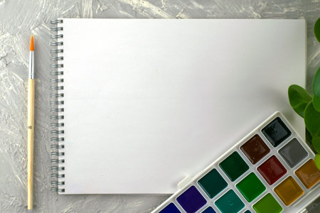watercolor sketchbook indoor plants and brush on a gray surface. High quality photoの写真素材