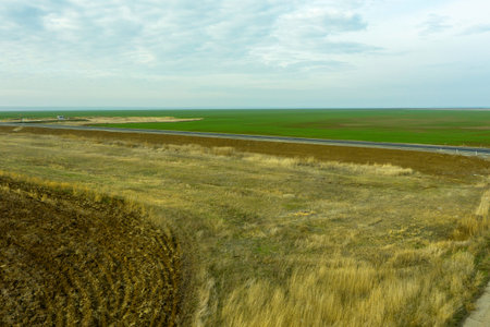 rural steppe landscape with plowed land crops road and sky with clouds. high quality photo