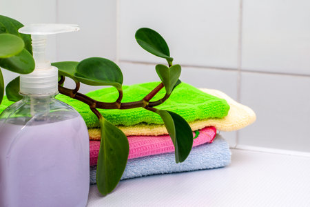 a stack of towels a bottle of liquid soap and a houseplant on the bathroom table. high quality photo
