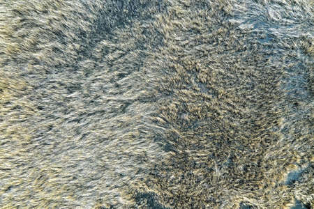 top view of the reeds on the lake background backdrop. high quality photoの写真素材