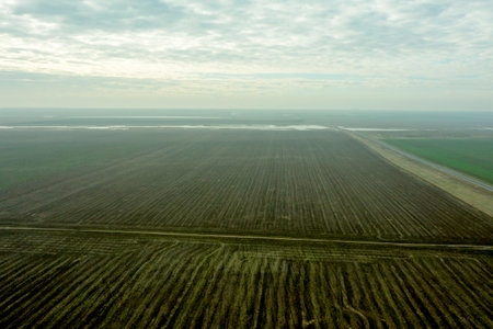 rural steppe landscape with plowed land crops road and sky with clouds. high quality photoの写真素材
