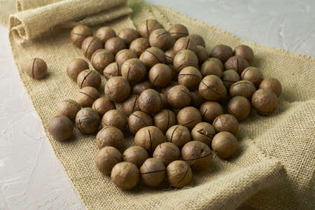 macadamia nuts on burlap background backdrop. high quality photoの写真素材