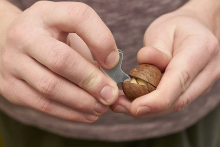 man cracks a macadamia nut with a key. high quality photo