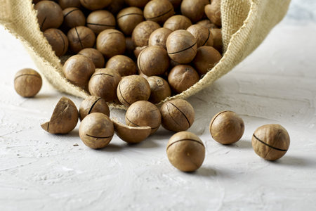 canvas bag of macadamia nuts close-up. high quality photoの写真素材