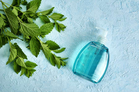 melissa leaves and a bottle of liquid soap on a blue surface with a copy space. high quality photoの写真素材
