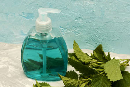 melissa leaves and a bottle of liquid soap on a blue surface with a copy space. high quality photoの写真素材