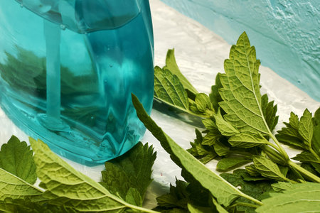 melissa leaves and a bottle of liquid soap on a blue surface with a copy space. high quality photo