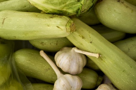 fresh vegetables cabbage zucchini cucumbers garlic and sweet pepper in a package. high quality photo