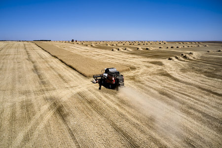 a combine harvester harvesting a field of wheat against a blue sky rural landscape