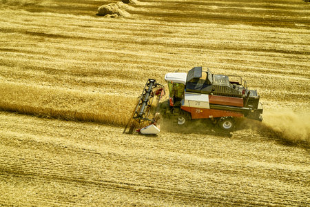 a combine harvester harvesting a field of wheat rural landscape. high quality photo