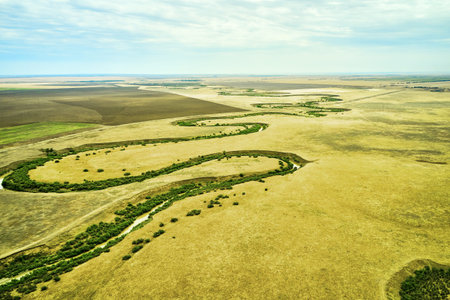 a winding muddy river with overgrown green banks in a sun-scorched steppe rural landscape. high...