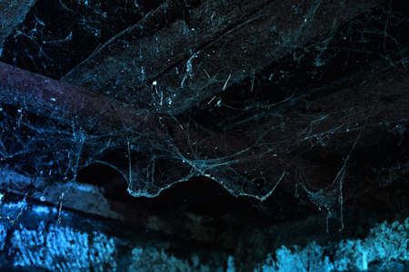 a creepy spider web hanging from the ceiling of an old abandoned house. high quality photoの写真素材