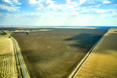 asphalt road in the steppe among wheat fields rural landscape. high quality photo