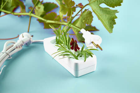 electric extension cord and electric plug with plants and flowers growing from them concept ecology green energy. high quality photoの写真素材