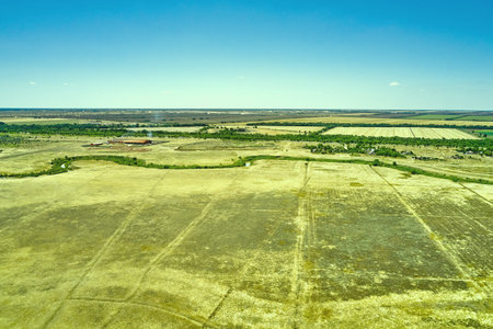 a winding muddy river with overgrown green banks in a sun-scorched steppe rural landscape. high...