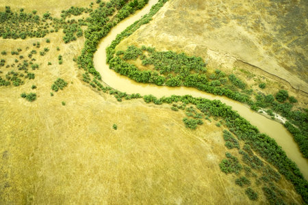 a winding muddy river with overgrown green banks in a sun-scorched steppe rural landscape. high quality photoの写真素材