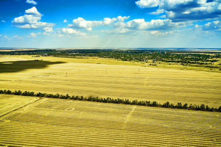 rural landscape a field of mown wheat straw rolls and a blue sky with clouds. high quality photoの写真素材