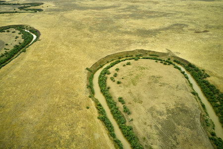 a winding muddy river with overgrown green banks in a sun-scorched steppe rural landscape. high...