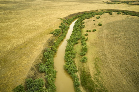 a winding muddy river with overgrown green banks in a sun-scorched steppe rural landscapeの写真素材