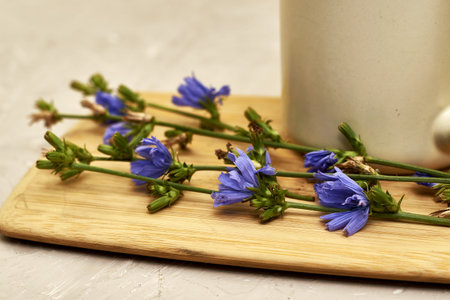 a mug with a drink and chicory flowers on a cutting board. high quality photoの写真素材