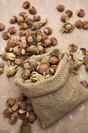 hazelnuts spilled on the table from a canvas bag close-up. high quality photo