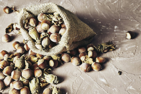 hazelnuts spilled on the table from a canvas bag close-up. high quality photoの写真素材