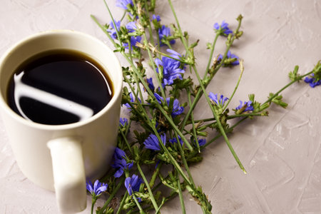 chicory drink in a coffee mug next to chicory flowers. high quality photoの写真素材