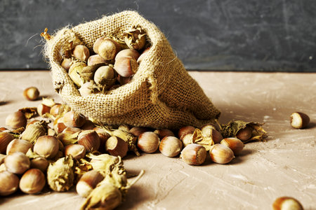 hazelnuts spilled on the table from a canvas bag close-up. high quality photoの写真素材