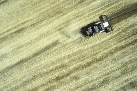 a combine harvester harvesting a field of wheat rural landscape. high quality photoの写真素材