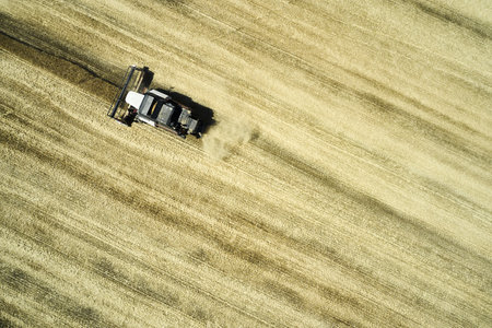 a combine harvester harvesting a field of wheat rural landscape. high quality photoの写真素材