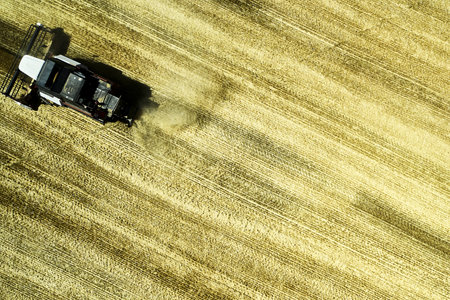 a combine harvester harvesting a field of wheat rural landscape. high quality photoの写真素材