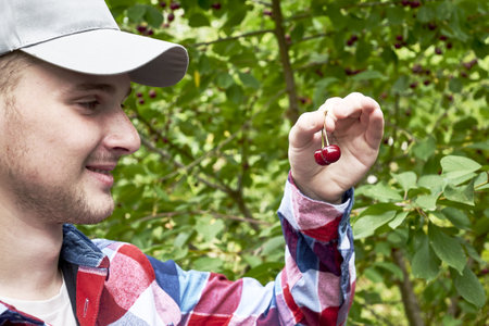 a young gardener examines a cherry plucked from a branch in the garden. high quality photoの写真素材