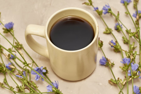 chicory drink in a coffee mug next to chicory flowers. high quality photoの写真素材