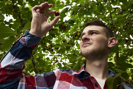 a young gardener examines a cherry plucked from a branch in the garden. high quality photoの写真素材