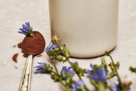 a mug with a drink of chicory chicory flowers and a spoon with powder and a chicory flower on the table. high quality photoの写真素材