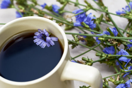 chicory drink and floating chicory flower in a coffee mug next to chicory flowers. High quality photoの写真素材
