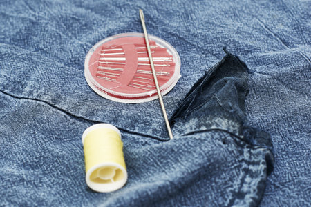 needles and thread on the background of torn jeans the concept of reasonable consumption of needlework for small businesses. high quality photoの写真素材