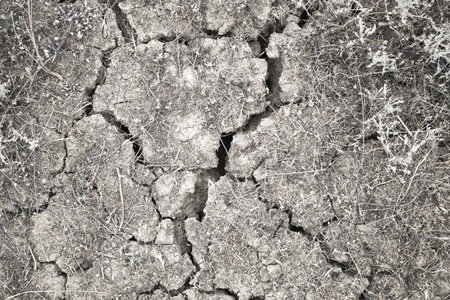 dry cracked earth with remnants of dry grass background backdropの写真素材