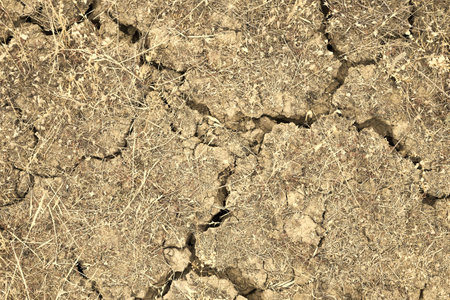 dry cracked earth with remnants of dry grass background backdropの写真素材