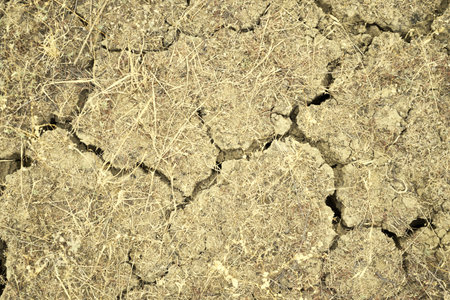 dry cracked earth with remnants of dry grass background backdropの写真素材