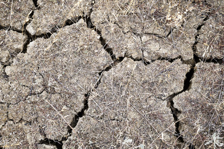 dry cracked earth with remnants of dry grass background backdropの写真素材