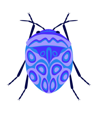 Violet flat beetle. Isolated on white background.